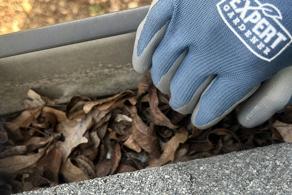 Gutter Cleaning Jeffersontown